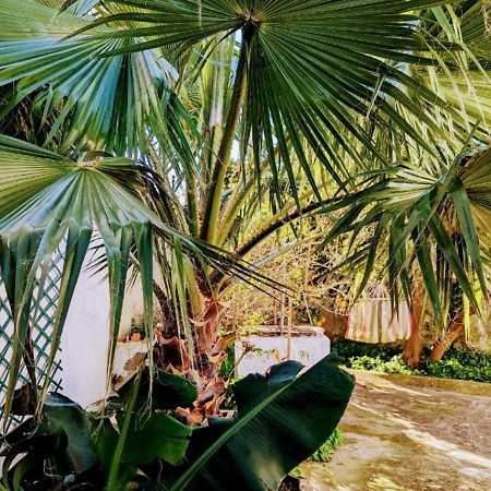 Cozy 3 Bedroom Home - Close To Beach Lourinha  Luaran gambar